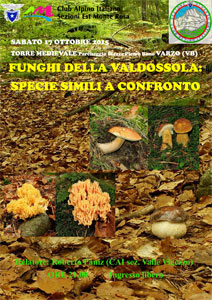 Roberto Paniz: Funghi della Valdossola, specie simili a confronto